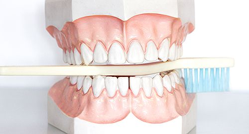 Tooth Brush in a Teeth Model